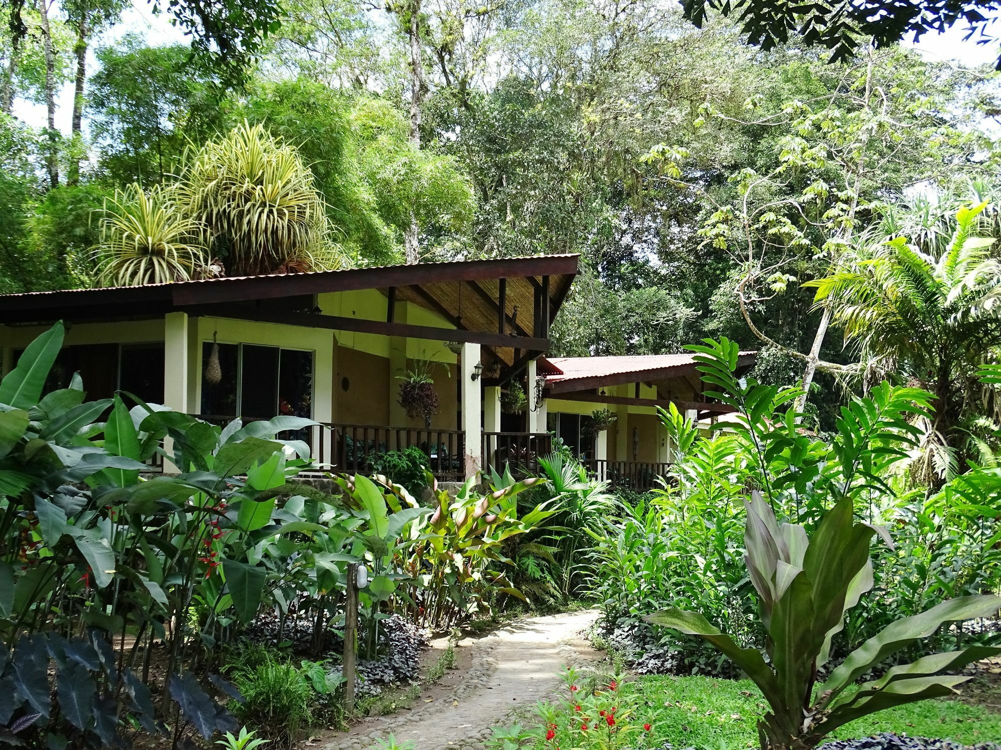 Heliconia Island Bed and Breakfast Sarapiquí Exterior foto